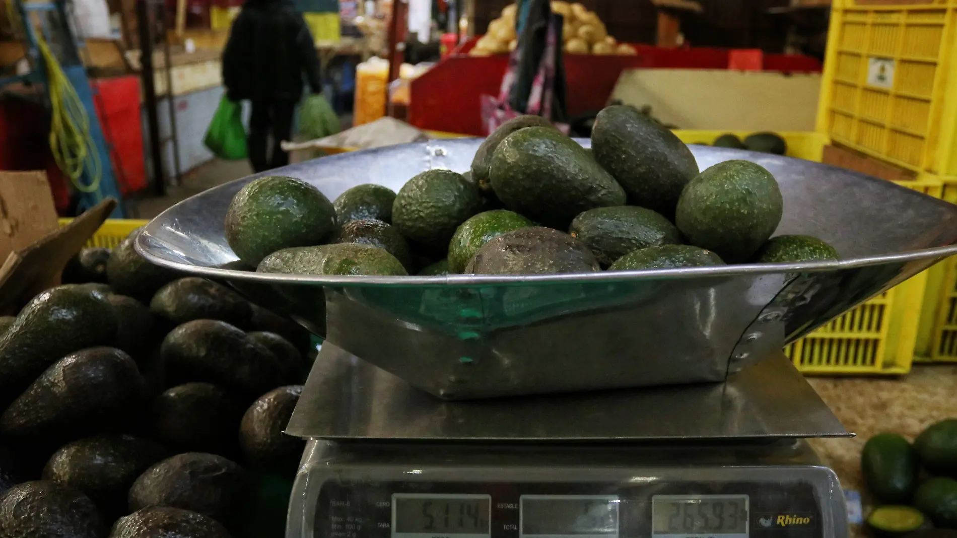 AGUACATE CUARTOSCURO